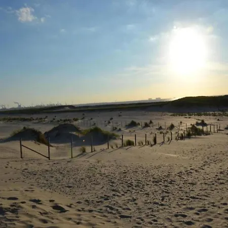 In The Netherlands Near Delft Luxury tent 's-Gravenzande